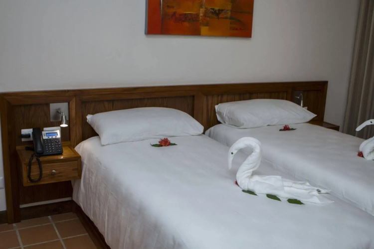 Hotel Palma de Oro