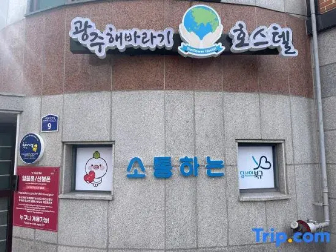 GwangJu SunFlower Hostel