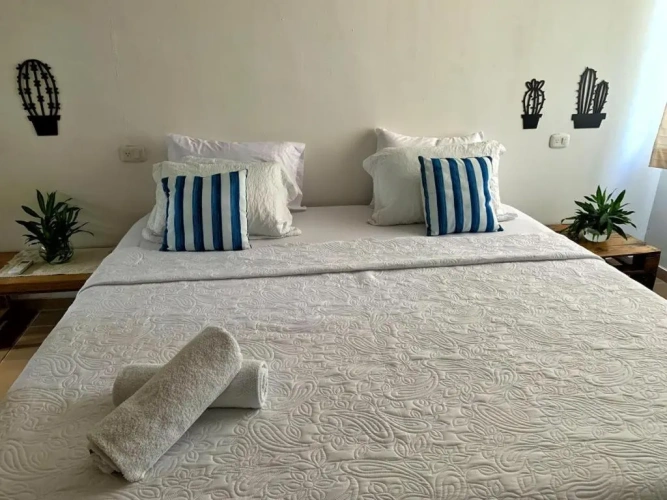 1 Bedroom Suite