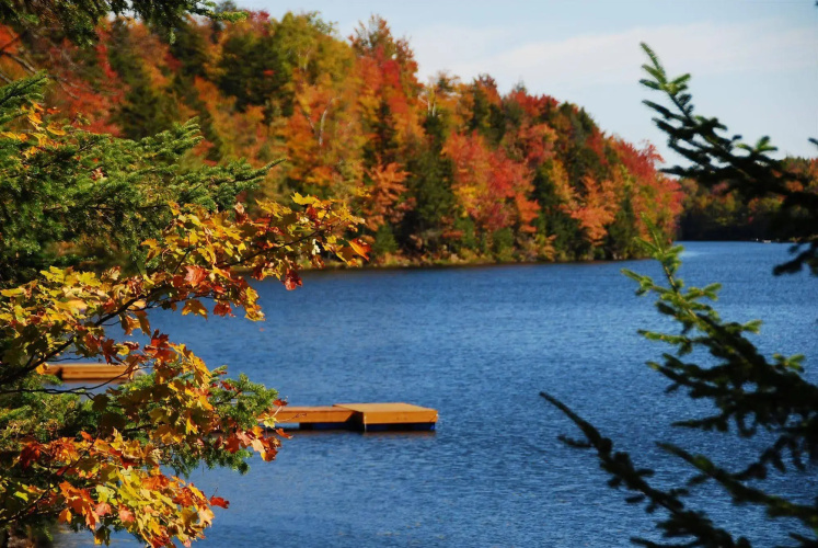 Fiddler Lake Resort