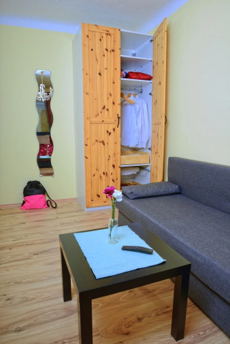 GoVienna Bright River Apartment