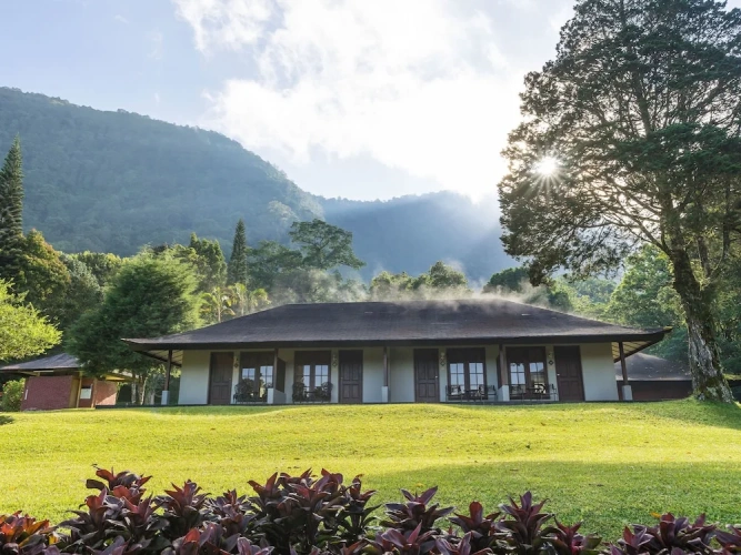 Classic Double room with garden view