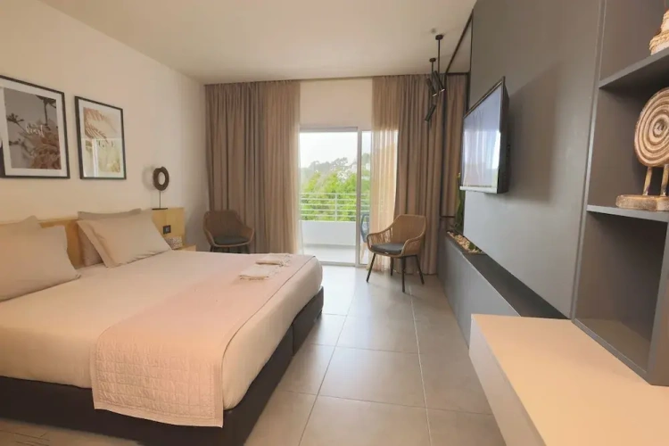 Standard Double room with balcony and with sea view