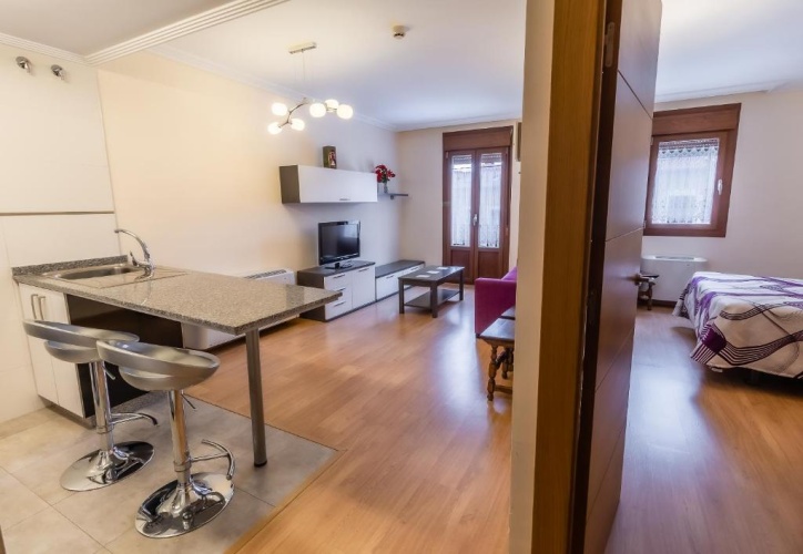 1 Bedroom Apartment