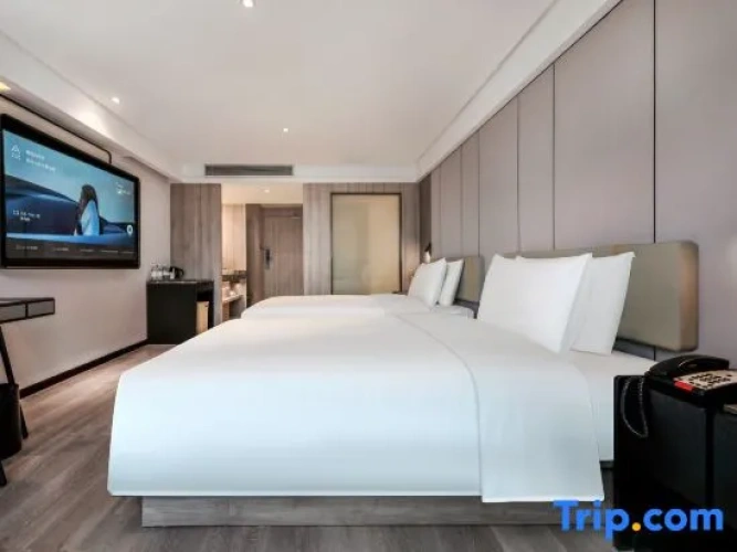 Executive Twin room