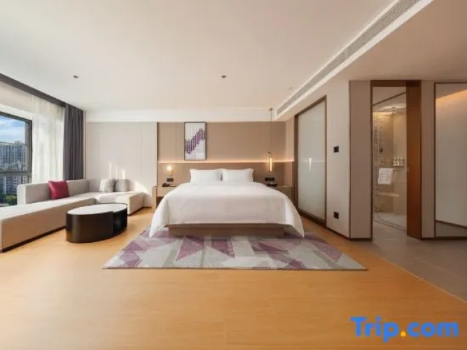 Deluxe Double room with city view