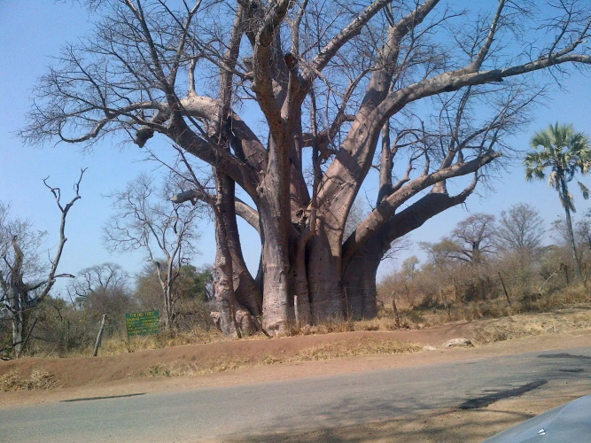 Lesoma Valley Lodge