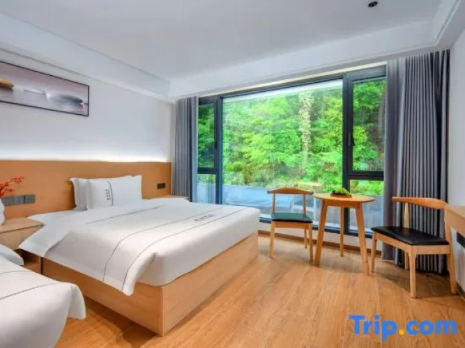 Standard Double room with view