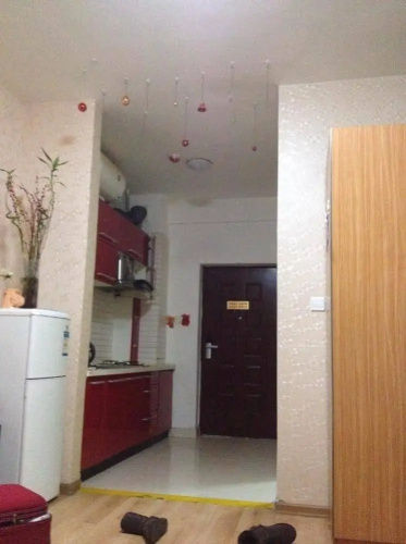 Lanmei Holiday Apartment Hostel(哈尔滨蓝莓假日酒店式公寓)