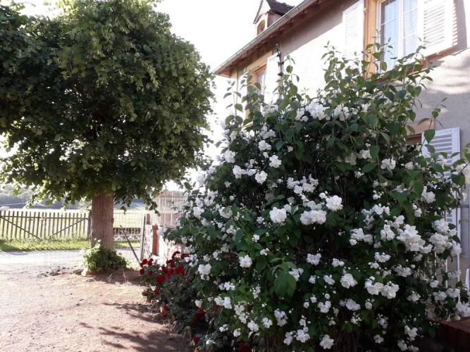 Maison Merle