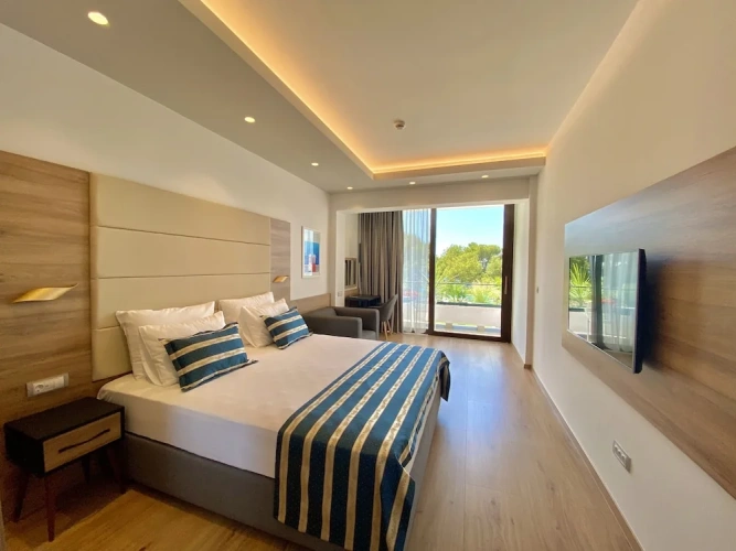 Superior Double room with balcony and with sea view