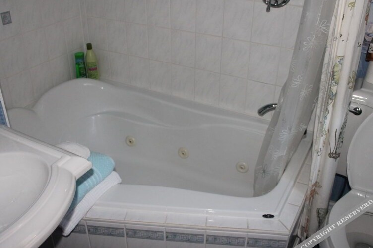 Clover Field House Over view