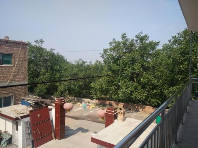 Outside