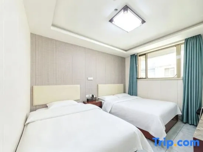 Standard Twin room with city view
