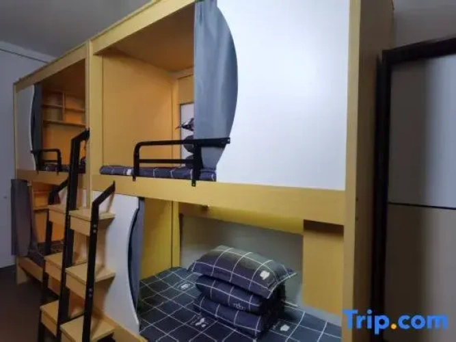 Bed in Dorm