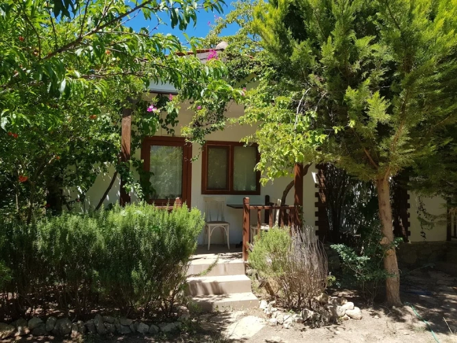 Standard Bungalow