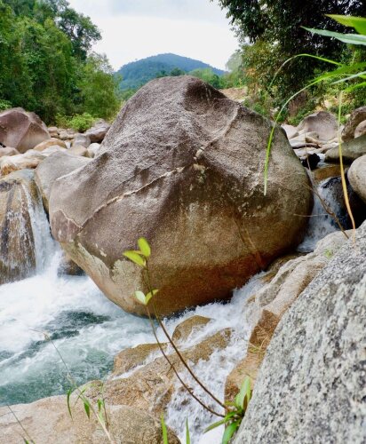 Hapier Villa Over view