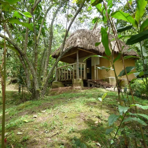 Nshongi Forest Camp