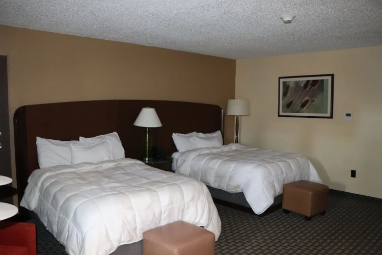 Standard Double room
