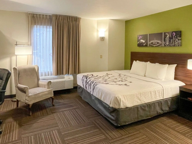 Standard Double room