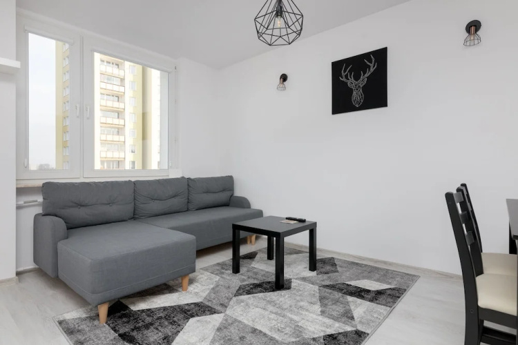 Witolin Shiny Apartment