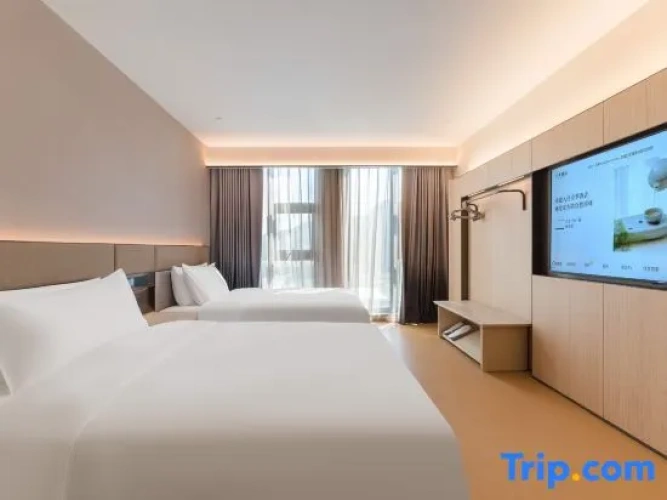 Standard Twin room with view