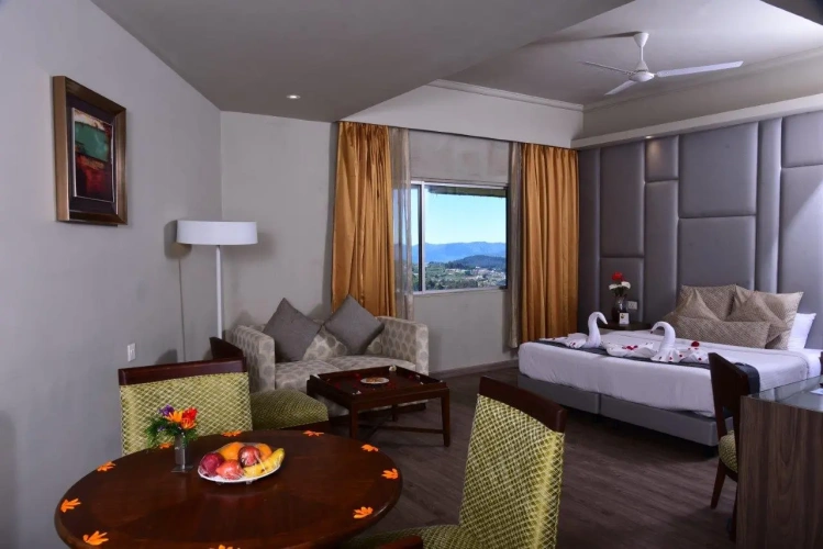 Deluxe Suite