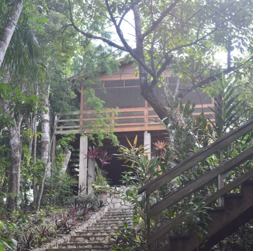 Premium Quadruple Cottage with land view