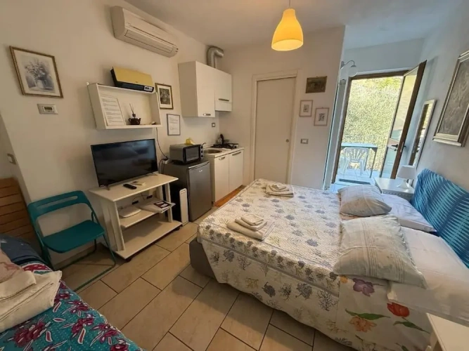 Classic Double room with park view
