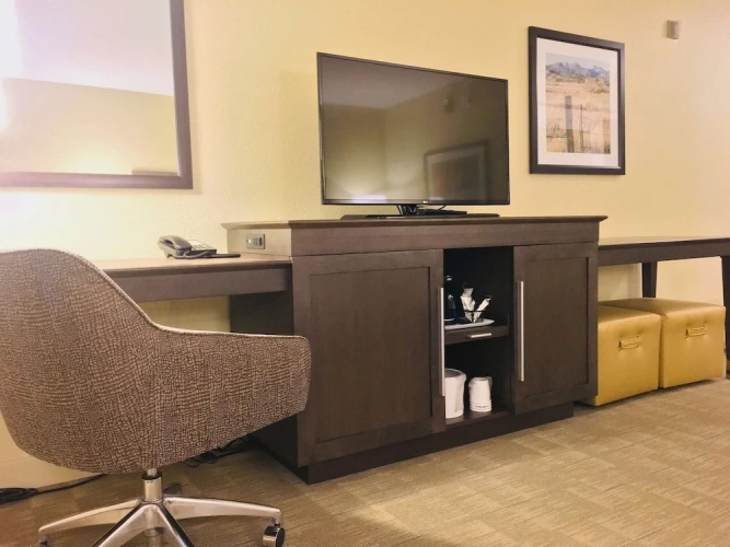 1 Bedroom Suite