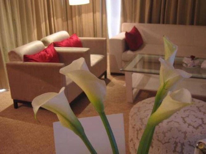 Executive Suite