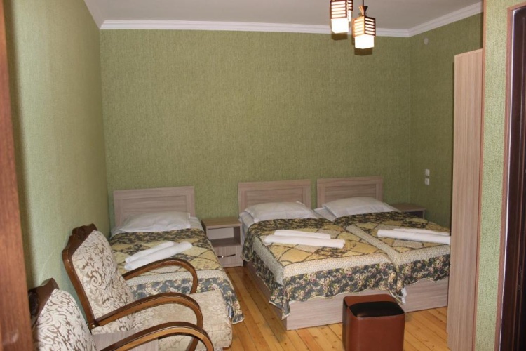 Standard Triple room with city view