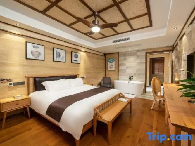 Standard Double room with balcony and with view
