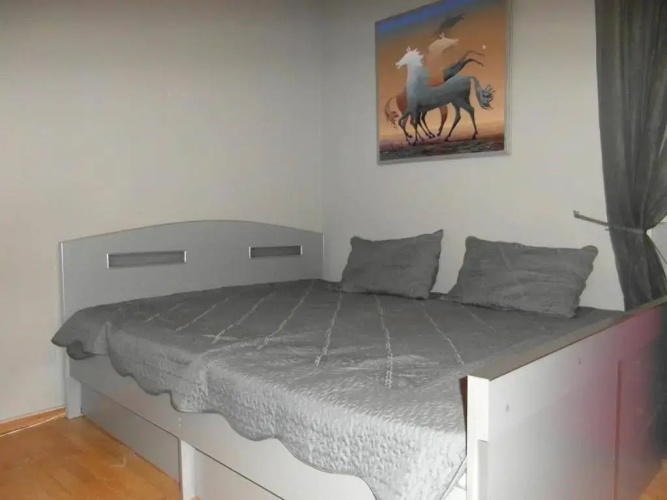 Cosmos Hostel
