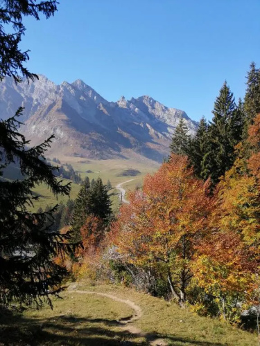 Chalet L'étale