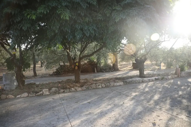 The Ranch - Lodge & Equestrian Center