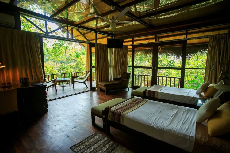 Jungle Village By Thawthisa