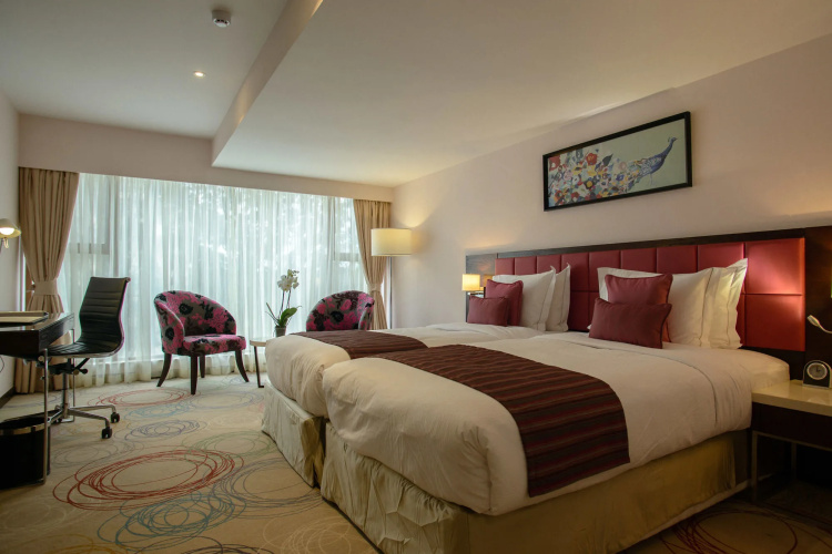 The Concord Hotel And Suites