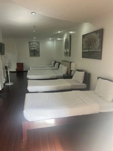 Economy Suite