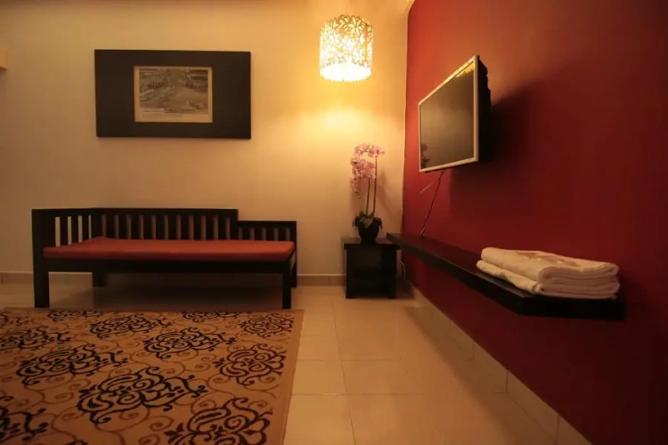 Deluxe Apartment