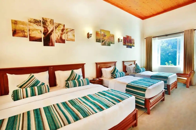 Quadruple Family Suite