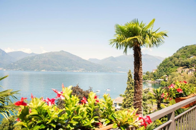 1 Bedroom Apartment with balcony