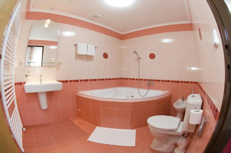 Hotel Ryšavý