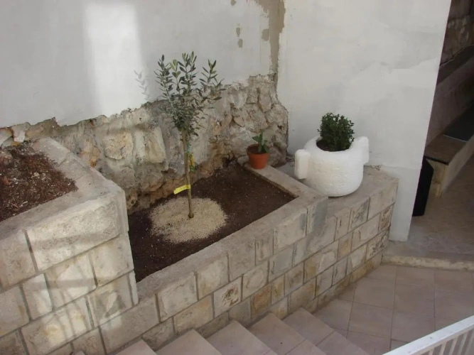 Standard Double room with balcony and with sea view