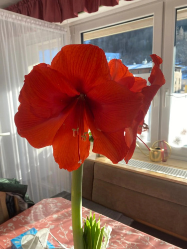 Appartement Silbermond