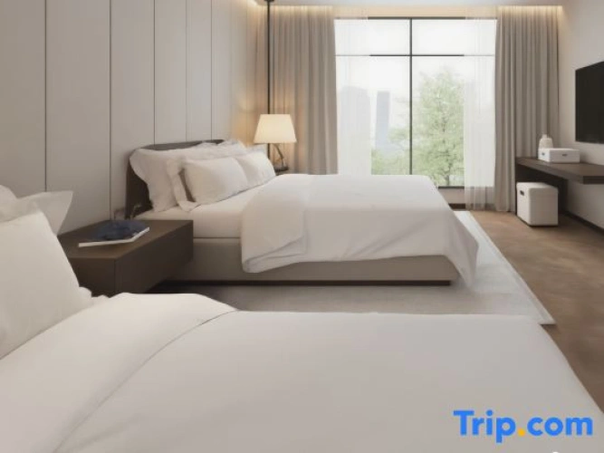 Luxury Twin room