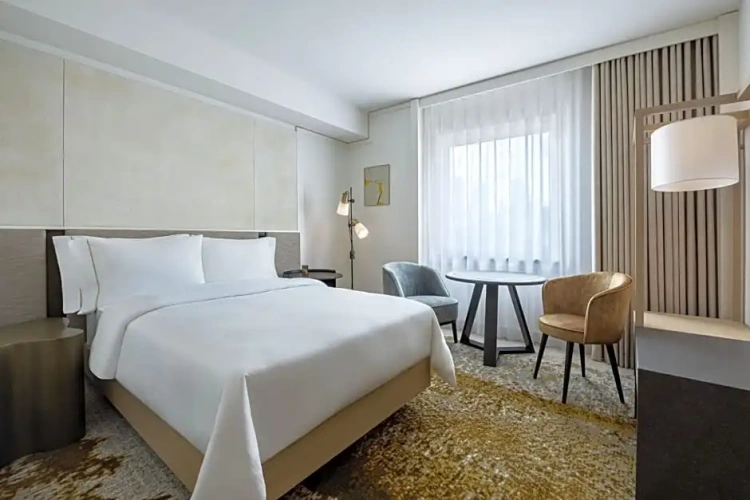 Deluxe Single room
