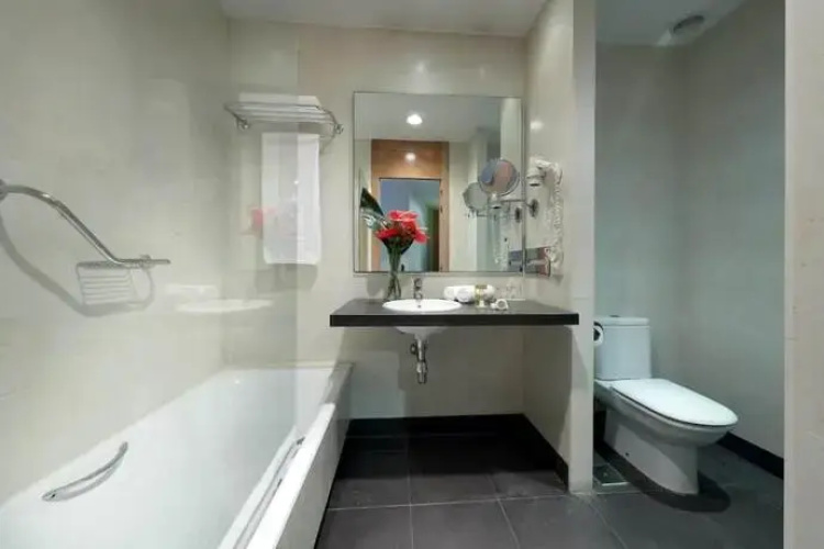 Hotel le pic