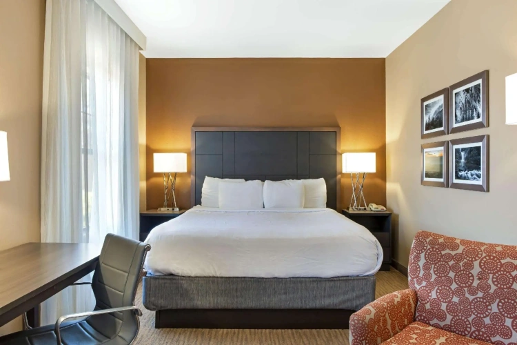 Luxury Double Suite