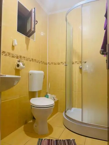 Vila Ammos Apartments Busteni